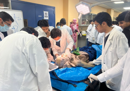 Disection Room